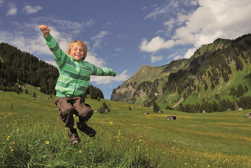 Caroline'S Appartement Au (Vorarlberg) Dış mekan fotoğraf