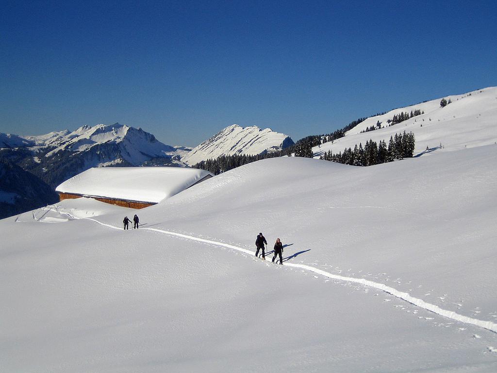 Caroline'S Appartement Au (Vorarlberg) Dış mekan fotoğraf